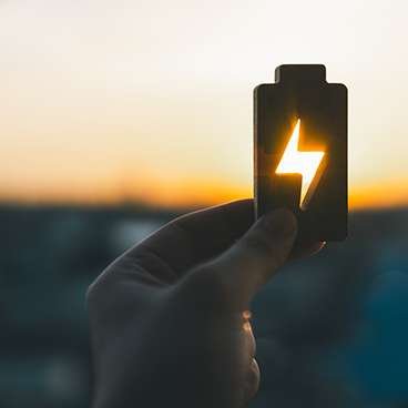 pigeon under solar panels