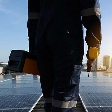 pigeon under solar panels