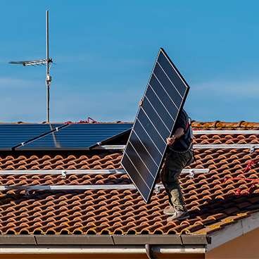 pigeon under solar panels