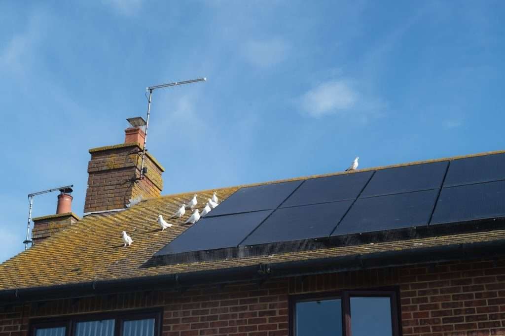 Solar Critter Guard Installation